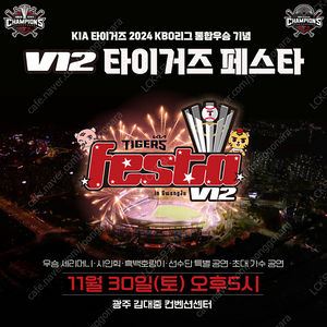 V12 타이거즈 페스타 8구역 2연석