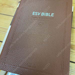 ESV 영어성경책