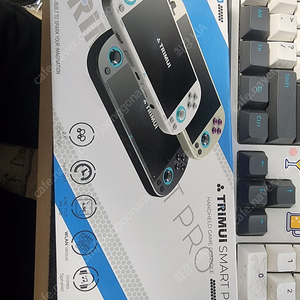 TRIMUI SMART PRO 트리무이(TSP) 팝니다 (256GB 한방팩)