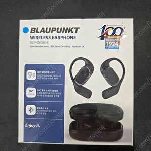 블라우풍트 BLAUPUNKT(BLP-OE383K) 무선이어폰 판매합니다.