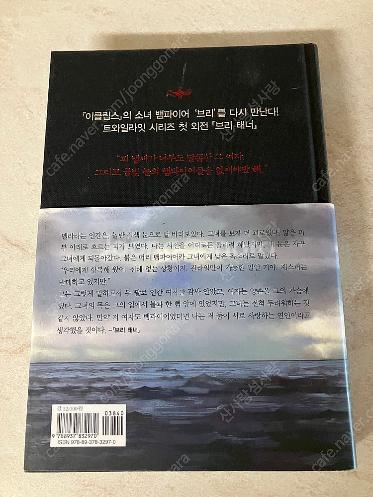 판타지, 로판 소설책 판매 ( 룬의아이들 윈터러 구판,...--7