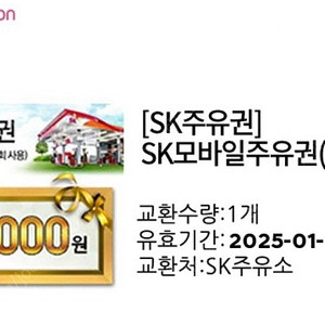 Sk 주우권 4만원 총 두장