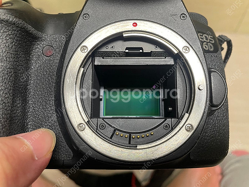 캐논 6D 바디--5