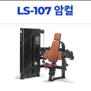 부티빌더 힙쓰러스트/렉스코 입식싸이클 팝니다