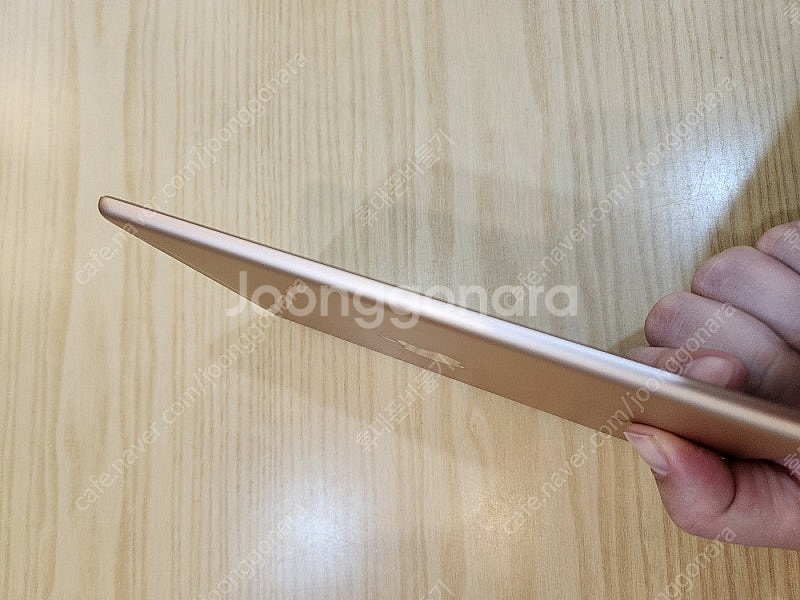 애플 아이패드 미니5 256기가 자급제 셀룰러 골드색상...--8