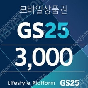 gs25 3000원...2500원 (12월말까지)