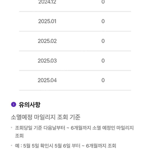 하나투어 마일리지 81000점