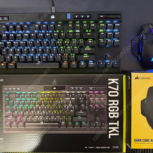 커세어 키보드(K70 RGB TKL), 마우스(DARK CORE RGB PRO) 팝니다.