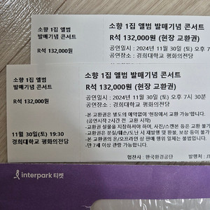 11월 30일 소향 콘서트 티켓 R석 2매 (일산직거래)