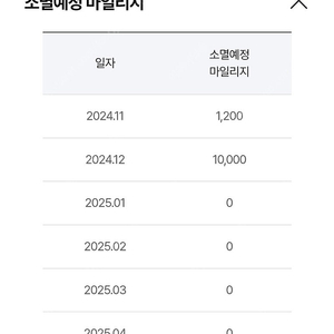 하나투어 마일리지 11200점