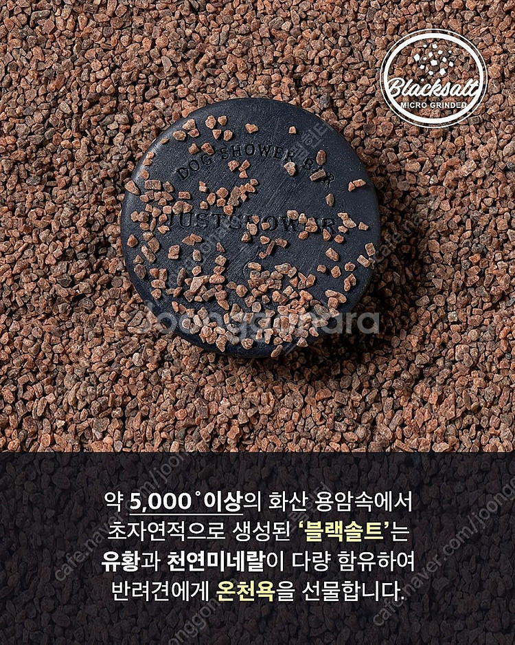 오도그 샤워바 (예민하고 피곤한 강아지 특효 천연 염욕...--4