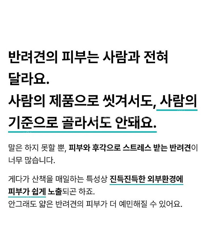 오도그 샤워바 (예민하고 피곤한 강아지 특효 천연 염욕...--6
