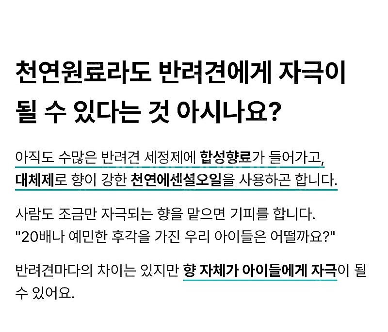 오도그 샤워바 (예민하고 피곤한 강아지 특효 천연 염욕...--7