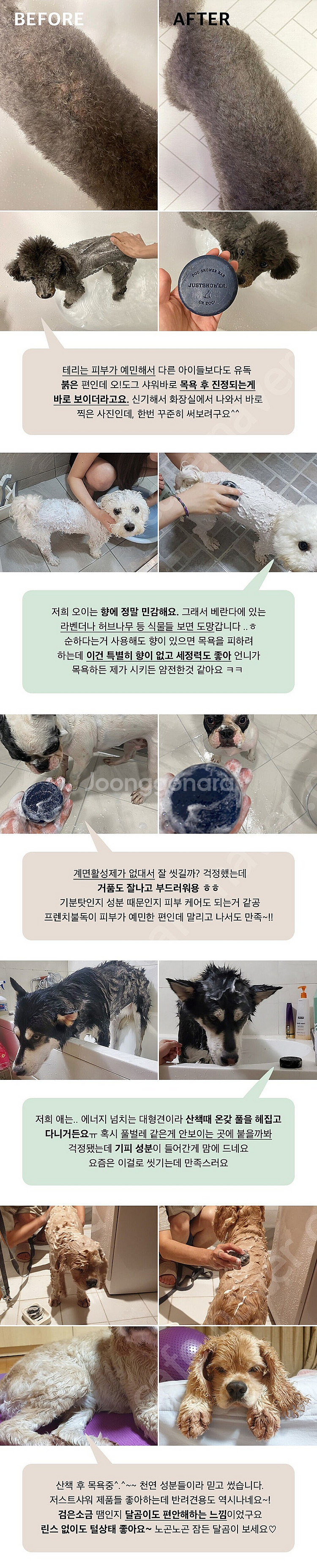 오도그 샤워바 (예민하고 피곤한 강아지 특효 천연 염욕...--9
