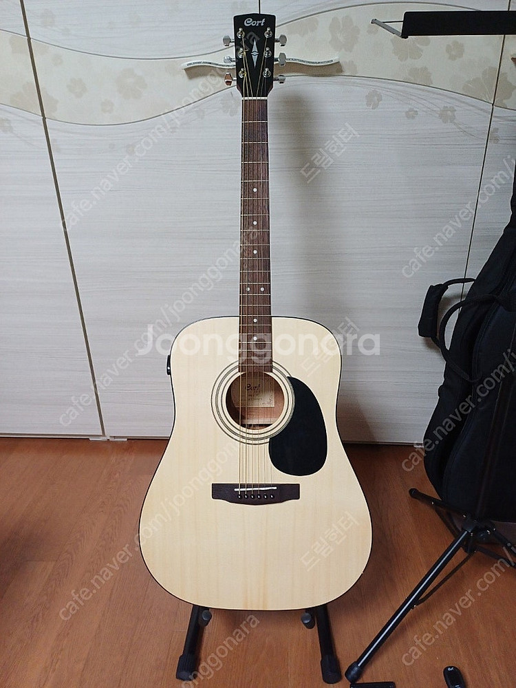 콜트 AD810 OP 입문자용 어쿠스틱 통기타 <새것>--1