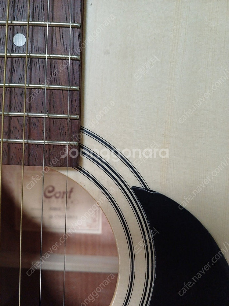 콜트 AD810 OP 입문자용 어쿠스틱 통기타 <새것>--2