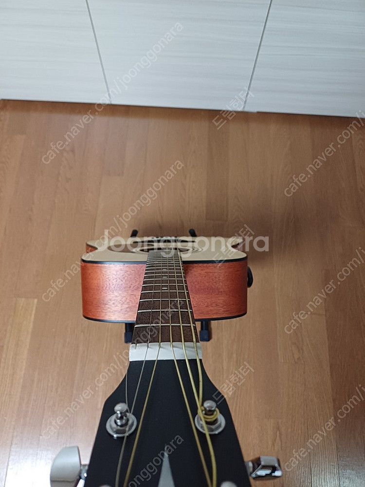 콜트 AD810 OP 입문자용 어쿠스틱 통기타 <새것>--4