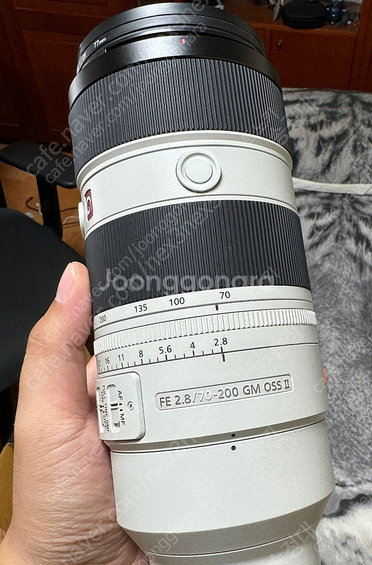 금령2--1