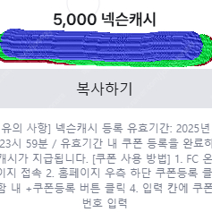 넥슨 캐시 5000원