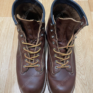 레드윙 REDWING 2936 라인맨