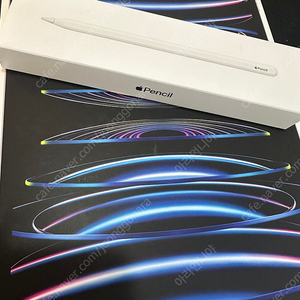 애케플1년 남음 ) 아이패드 12.9 6세대 256gb 셀룰러 실버 + 애플펜슬2세대