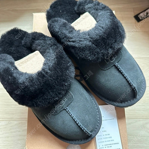 미국 어그 코케트 UGG 검정 블랙W6 (새상품)