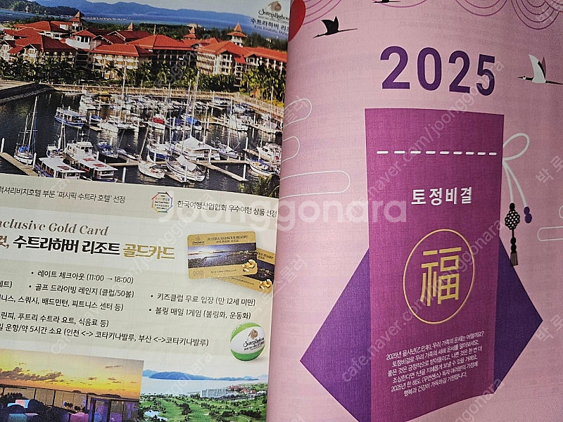 2025년 가계부--7