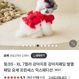 요새 강아지 발열 패딩옷