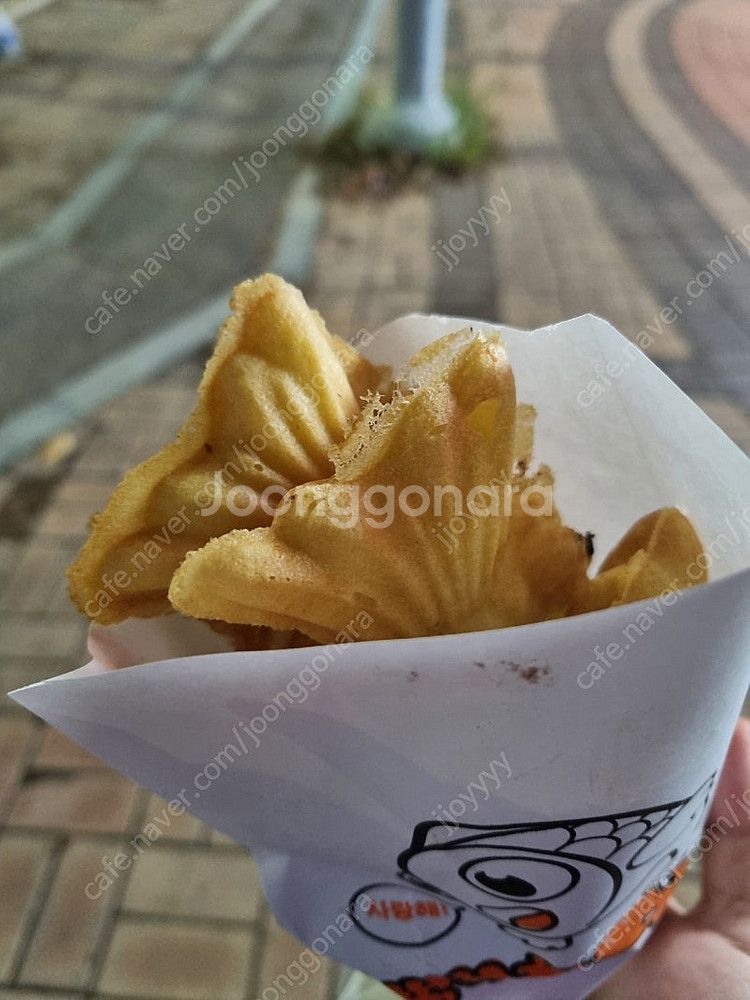 스벅 프리퀀시 흰1 1000원--0