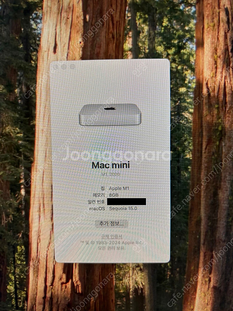 맥미니 M1 8GB 256GB 팔아요--1
