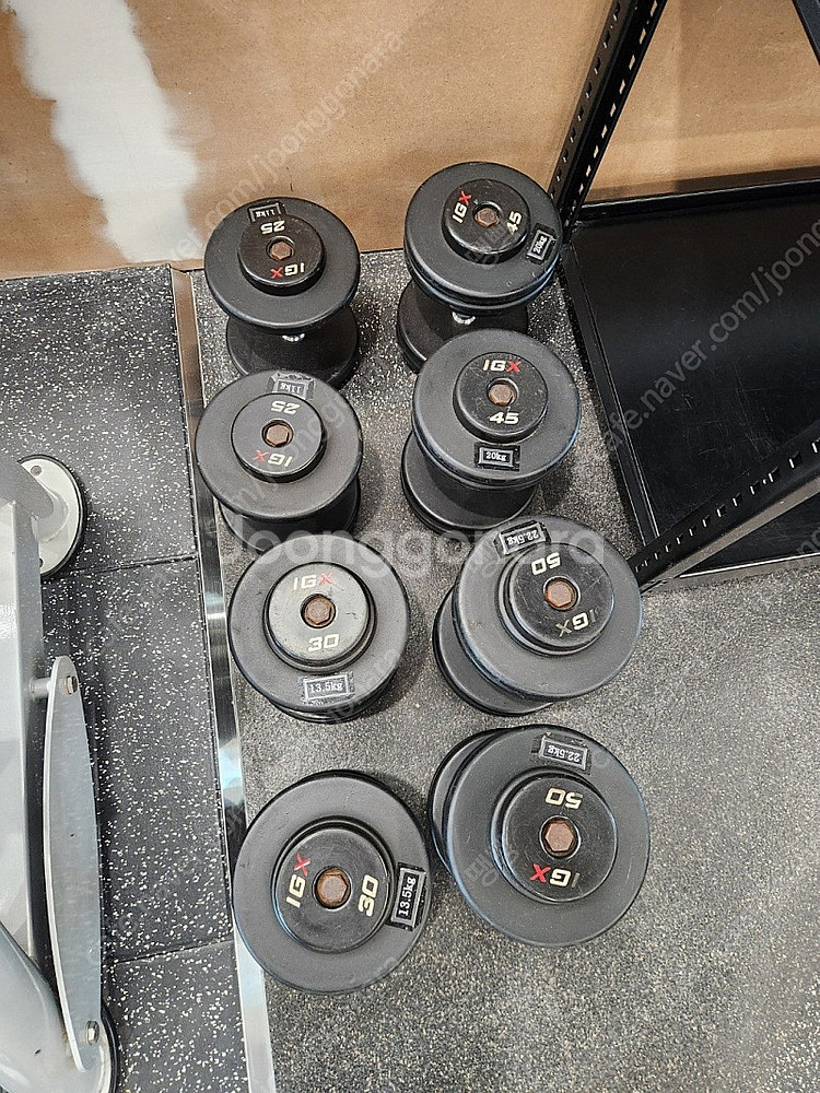 수원 IGX 덤벨 11kg, 13.5kg, 20kg, ...--0