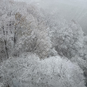 갤러리아 발렛 주차권 구해요