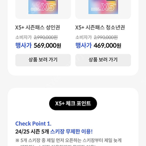 X5 스키 성인 시즌권