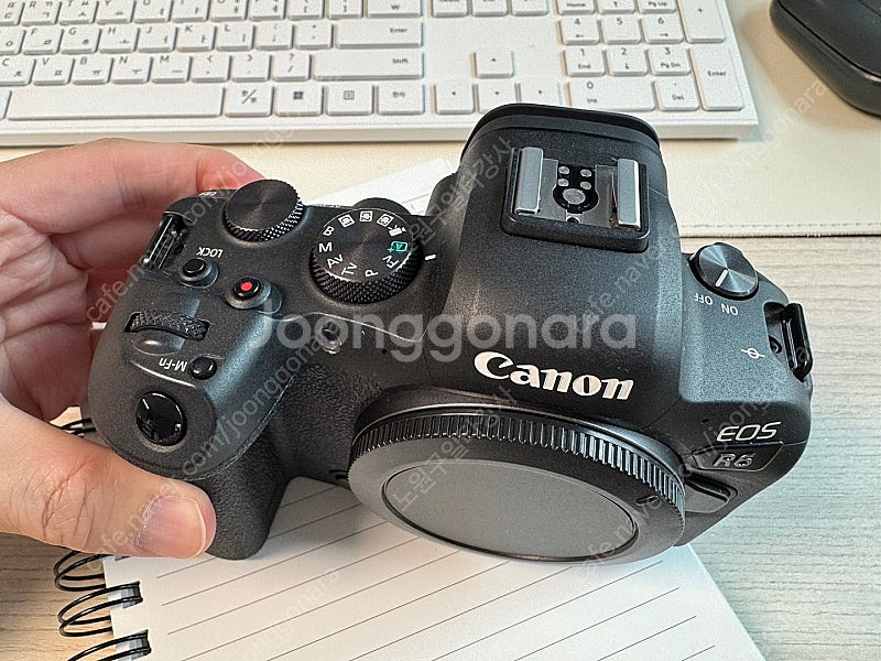 캐논 R6,RF24105L 24-105L,소니 FDR-...--1