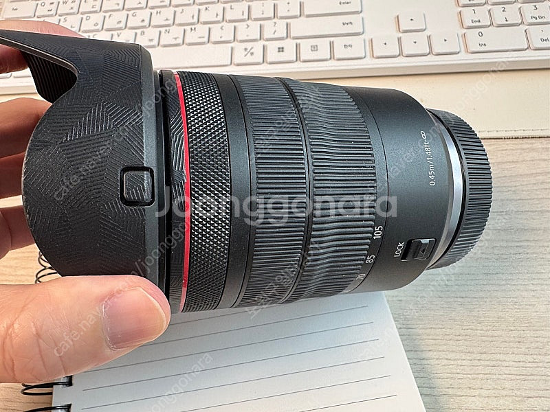 캐논 R6,RF24105L 24-105L,소니 FDR-...--4
