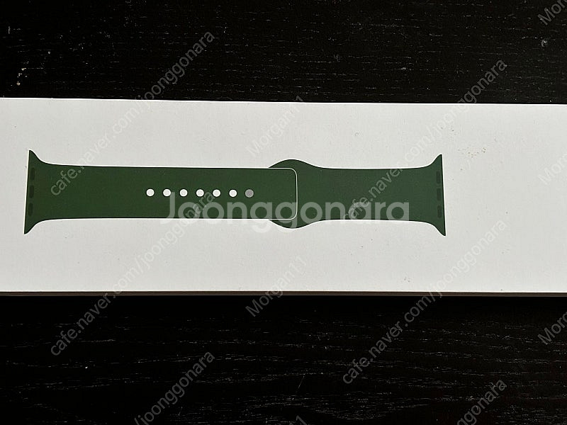 애플워치 스포츠밴드 다크그린 41mm--0