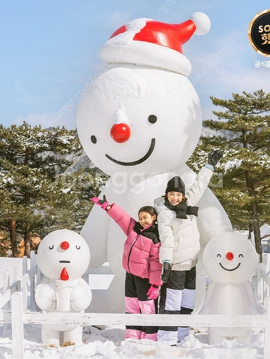 스노위랜드*홍천비발디파크~리프트권-장비렌탈~용평~휘닉스...--0