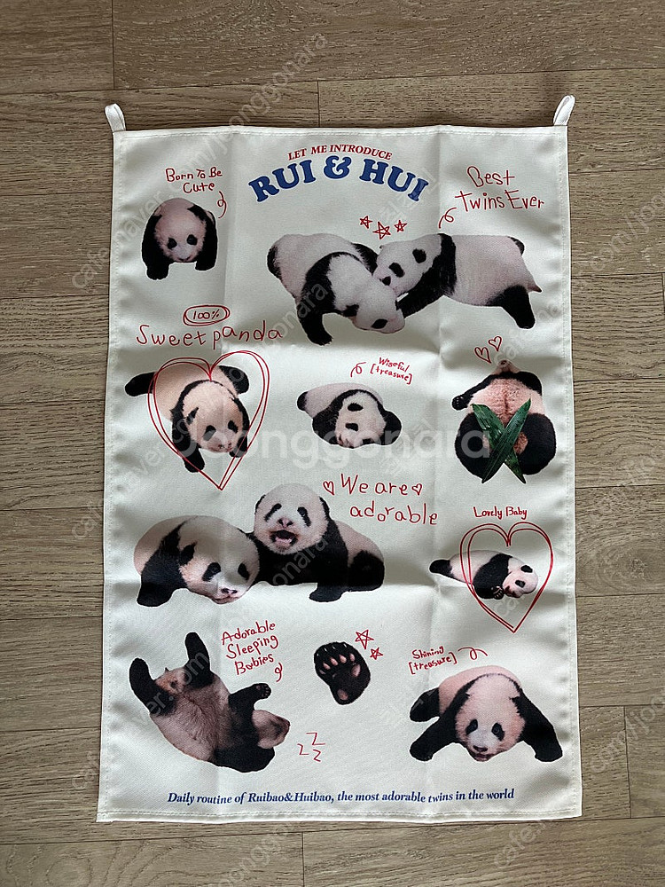 루이후이 유치원 인형 + 패브릭 포스터 일괄 루이바오 ...--2