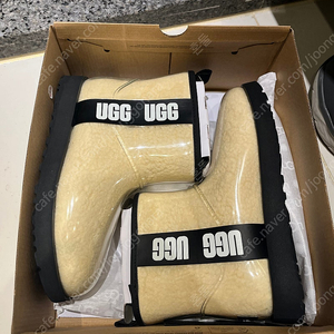 미국 UGG 클리어 250 (US8)