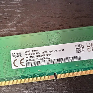 하이닉스 DDR5 PC4800 16G