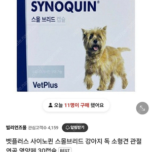 강아지 관절보조제 사이노퀸 스몰브리드 소형견 30정