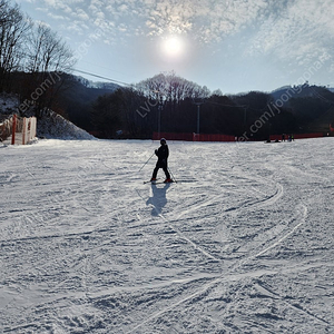 휘닉스평창 블루캐니언 12월1~2일 2매