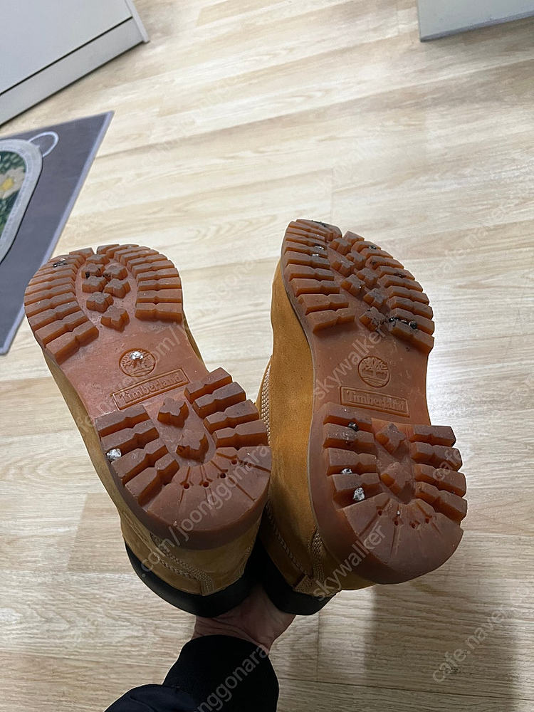 팀버랜드 6인치 280--3