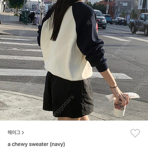 헤이그 스웨터 (a chewy sweater)