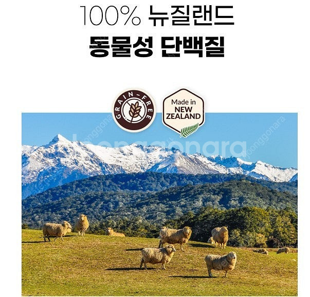 위시본 9kg(양,연어,소,치킨 4가지 맛) 미개봉 새...--4