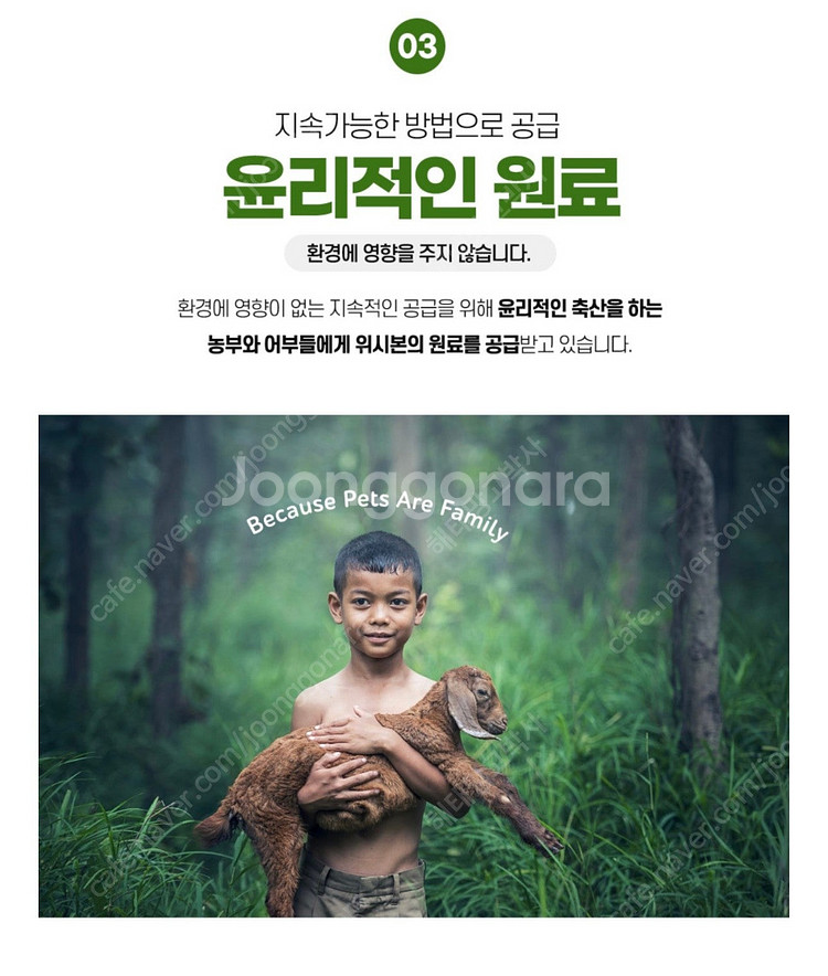 위시본 9kg(양,연어,소,치킨 4가지 맛) 미개봉 새...--6