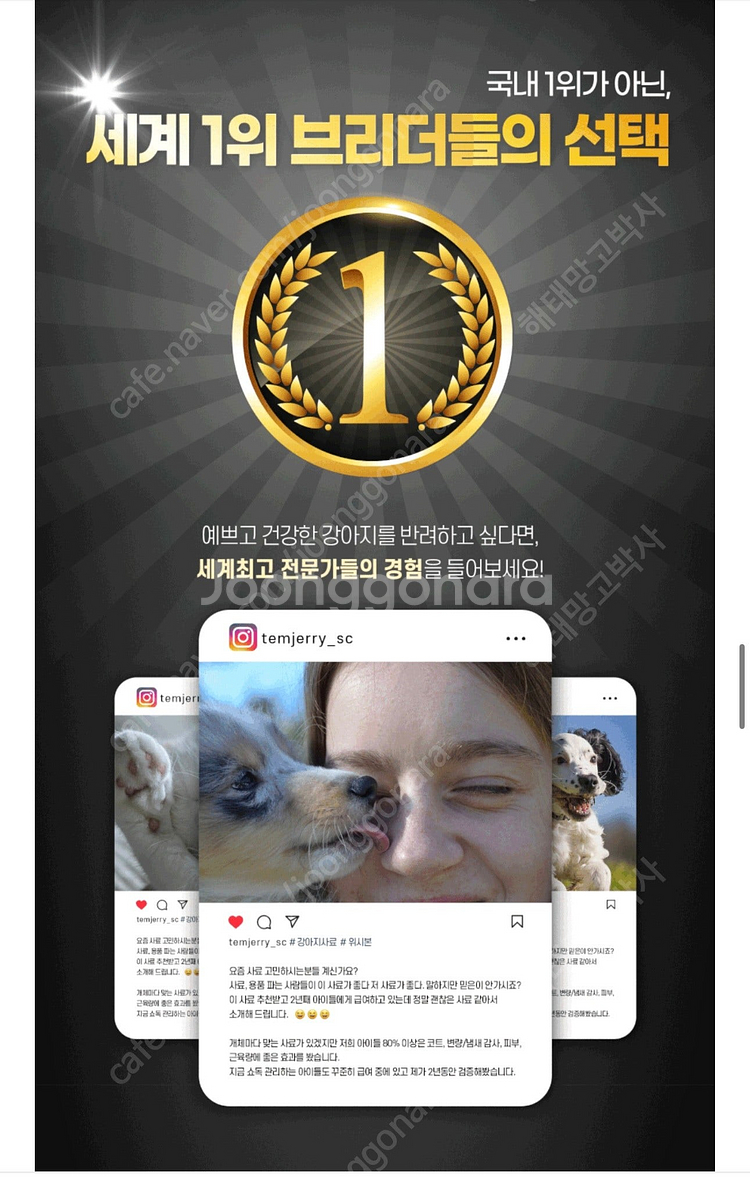 위시본 9kg(양,연어,소,치킨 4가지 맛) 미개봉 새...--9