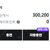 충전된 넥슨캐시 30만원 팝니다. 80프로