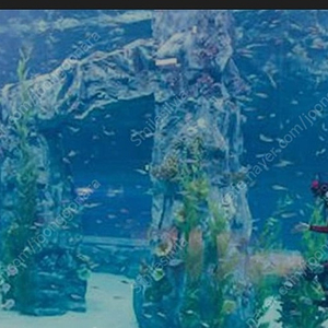 잠실롯데 아쿠아리움 티켓