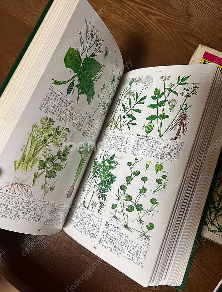 원색 마키노 일본식물도감 세 권--3